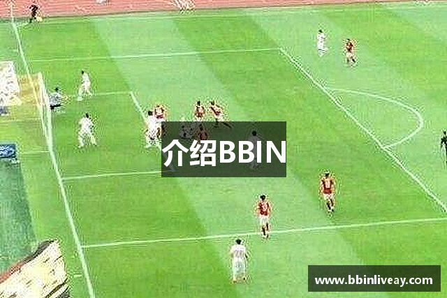 介绍BBIN